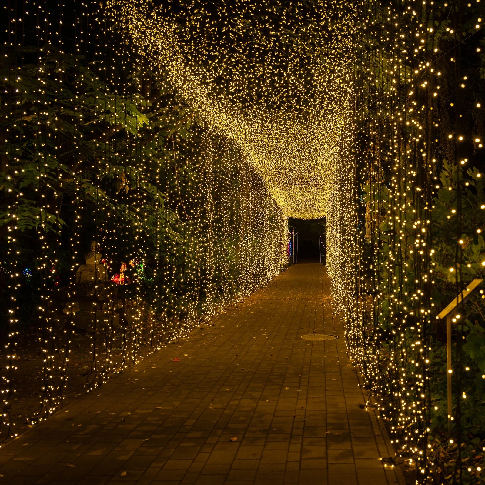 10ftx30ft Warm White 900 LED Curtain String Lights with 8 Modes & Inline Memory Controller, Plug In Waterproof Fairy Lights for Indoor Outdoor Backdrop - Image 2