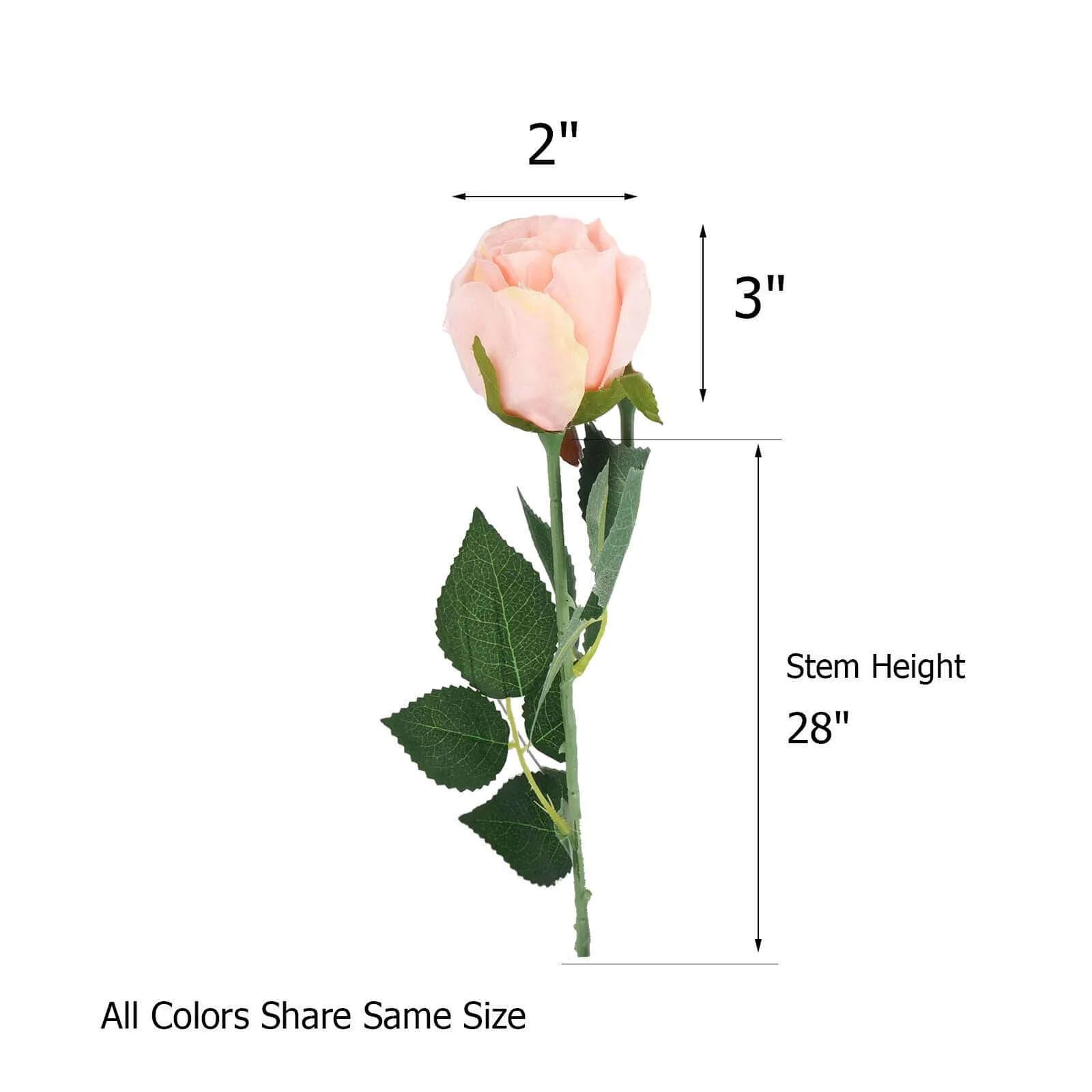 31" 24Pcs Red, Black Tip Long Stem Artificial Silk Roses Flowers - Image 3