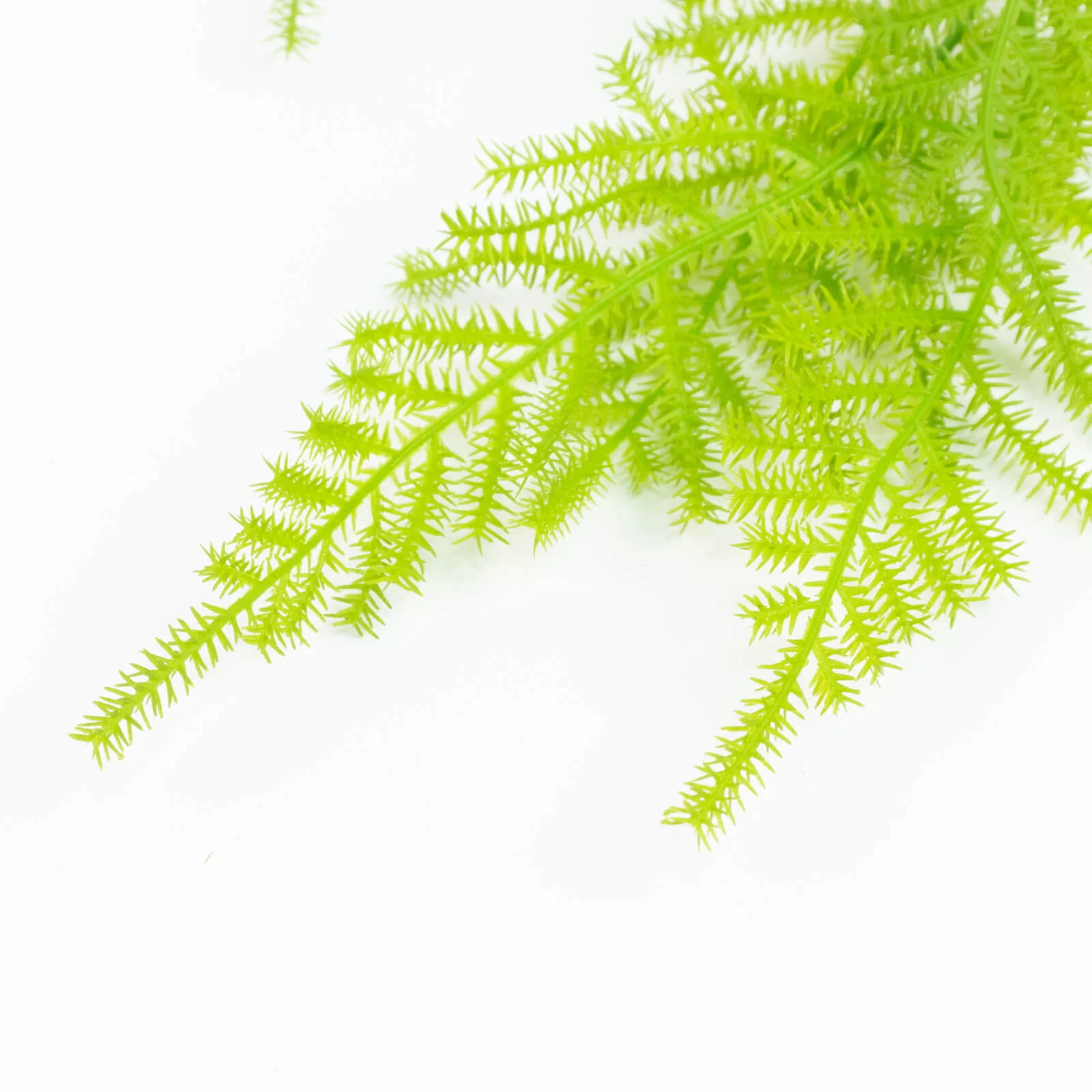 10 Pack Artificial Hanging Fern Bushes – 32" Asparagus Fern Trailing Plants for Green Wall, Vertical Garden & Vase Filler - Image 8